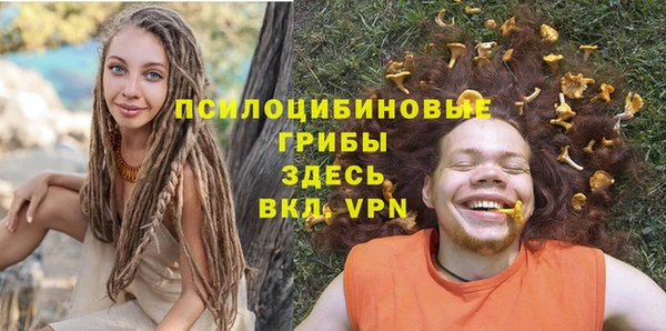 круглые Алексеевка