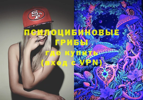 мяу мяу мука Алзамай
