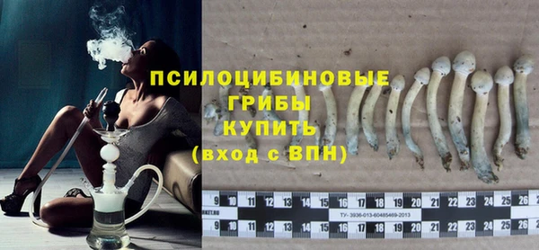 мяу мяу мука Алзамай