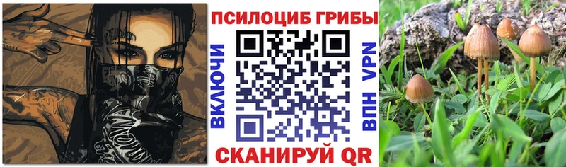 Галлюциногенные грибы прущие грибы  Томск 
